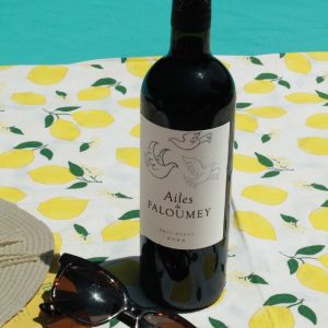 AilesoffresummerPaloumey