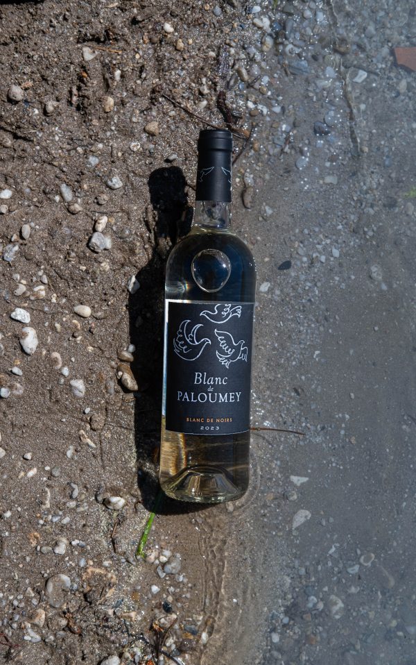 Blanc de Paloumey 2024 – Image 3